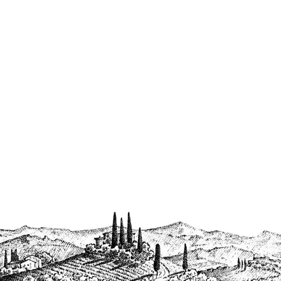 Hand-drawn Tuscan hillside illustration used across the site