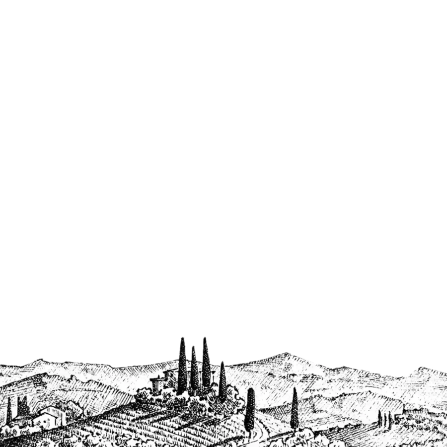 Hand-drawn Tuscan hillside illustration used across the site